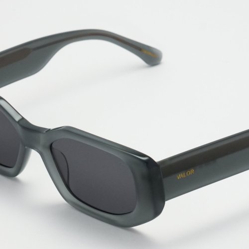 VALOR/M1206