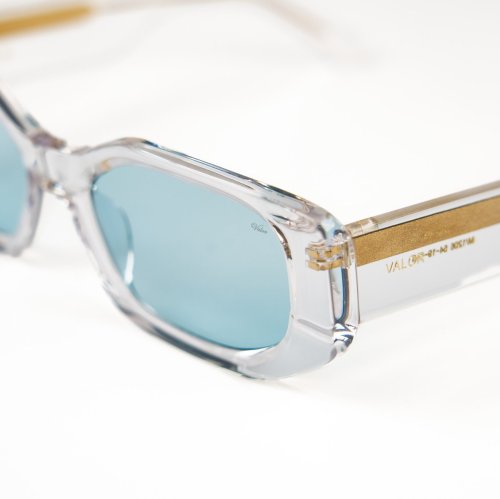 VALOR/M1206